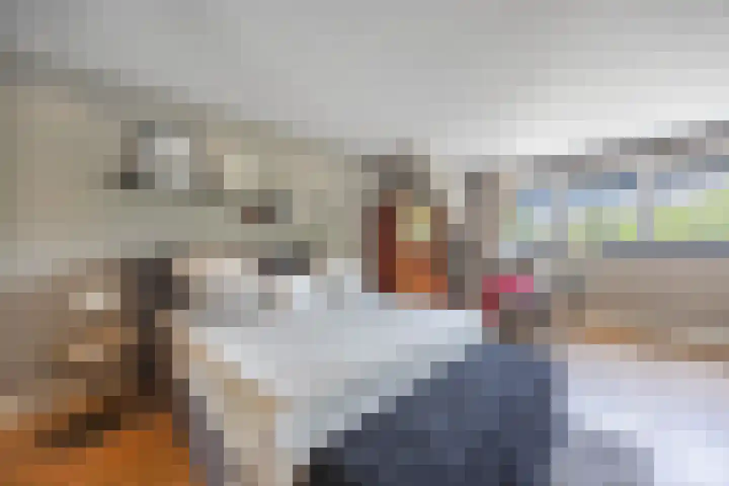 Groenelaan 48 Beverwijk thumbnail 18
