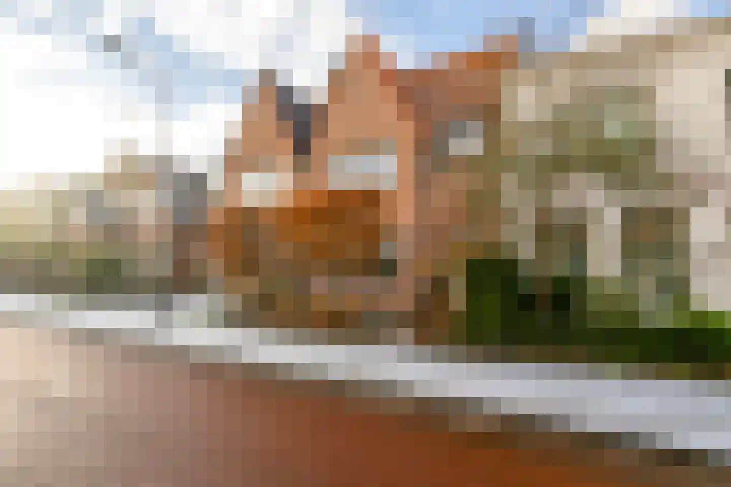 Groenelaan 48 Beverwijk thumbnail 30