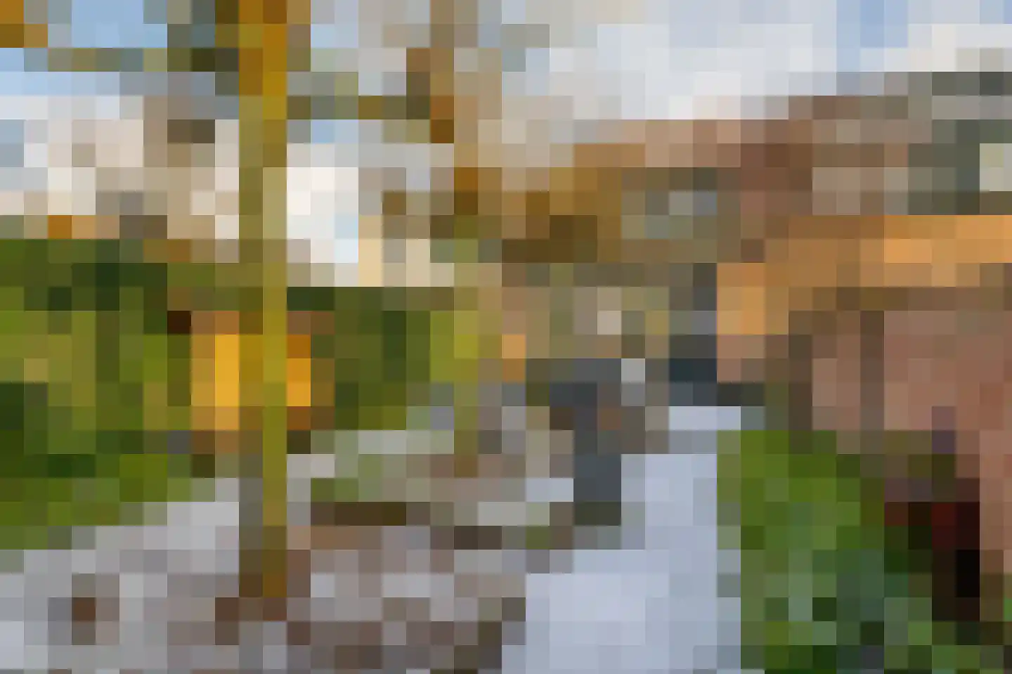 Groenelaan 48 Beverwijk thumbnail 32