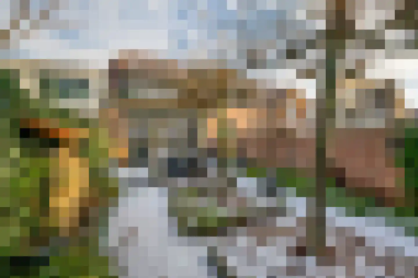 Groenelaan 48 Beverwijk thumbnail 33