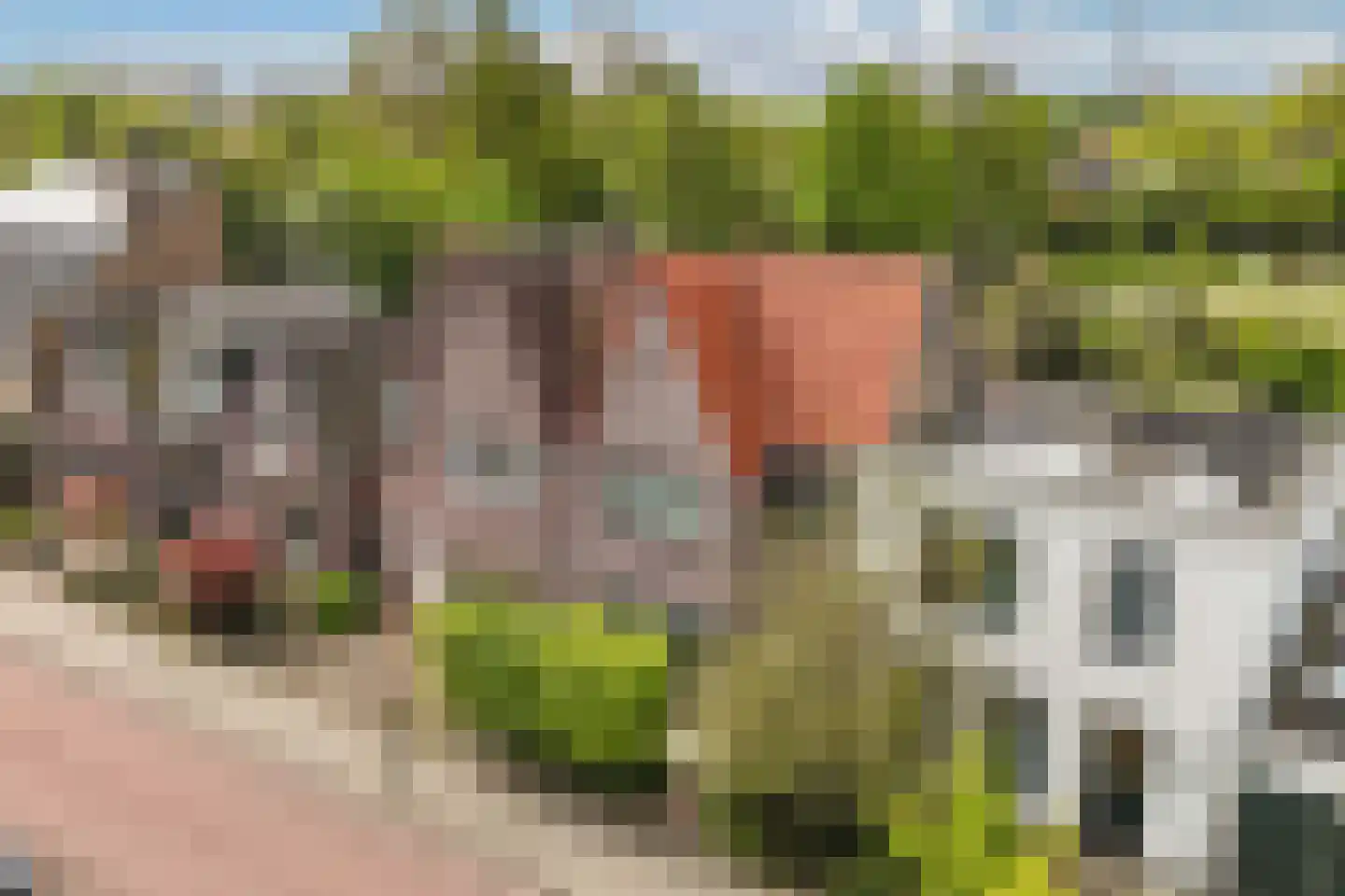 Groenelaan 48 Beverwijk thumbnail 35