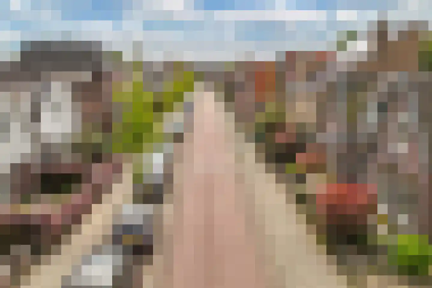 Groenelaan 48 Beverwijk thumbnail 36