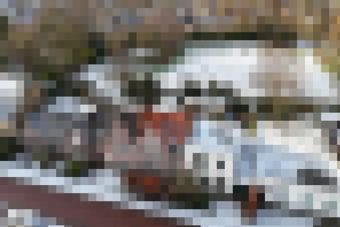 Groenelaan 48 Beverwijk thumbnail 36