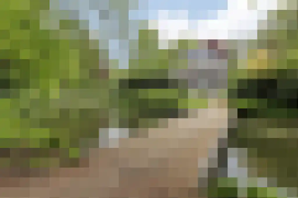 Groenelaan 48 Beverwijk thumbnail 39