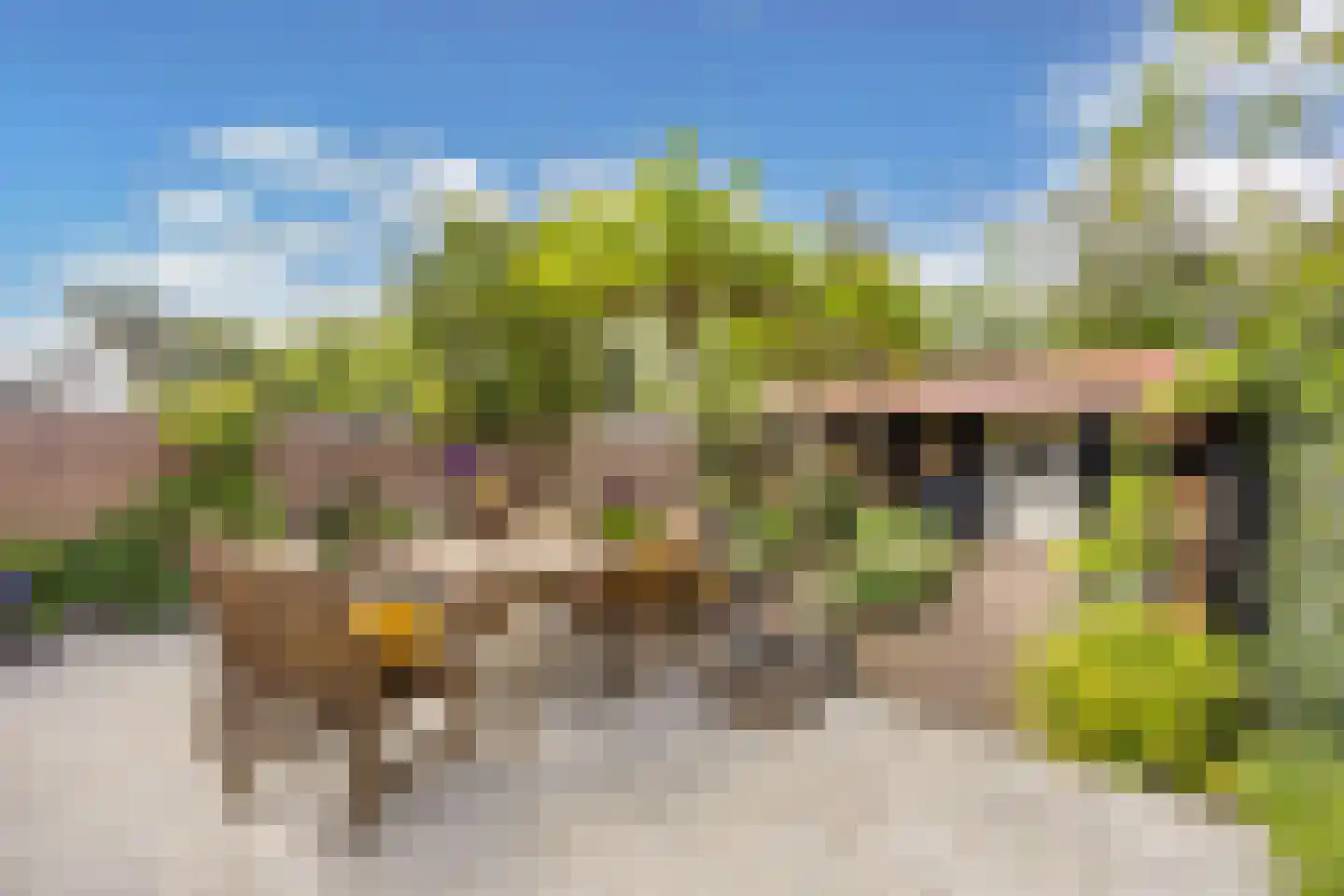 Groenelaan 48 Beverwijk thumbnail 4