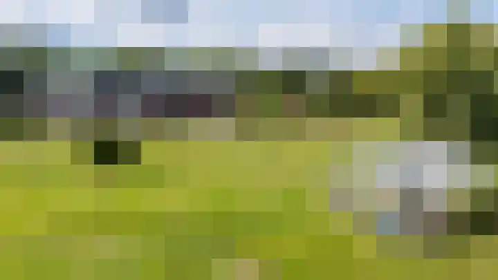 Groenelaan 6 Oostwold thumbnail 10