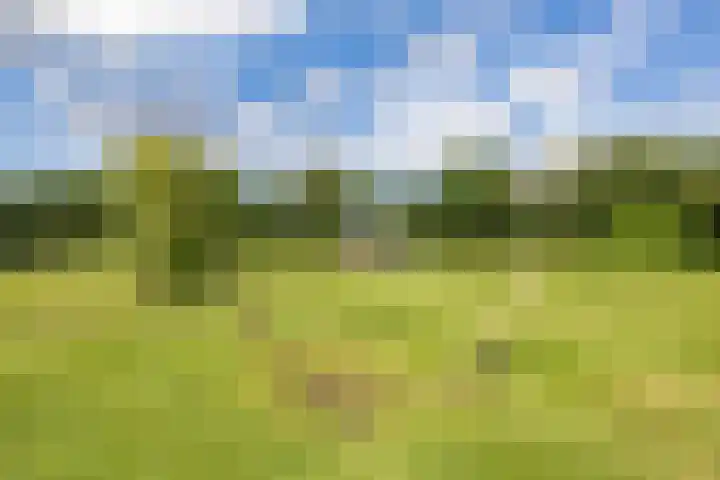 Groenelaan 6 Oostwold thumbnail 11