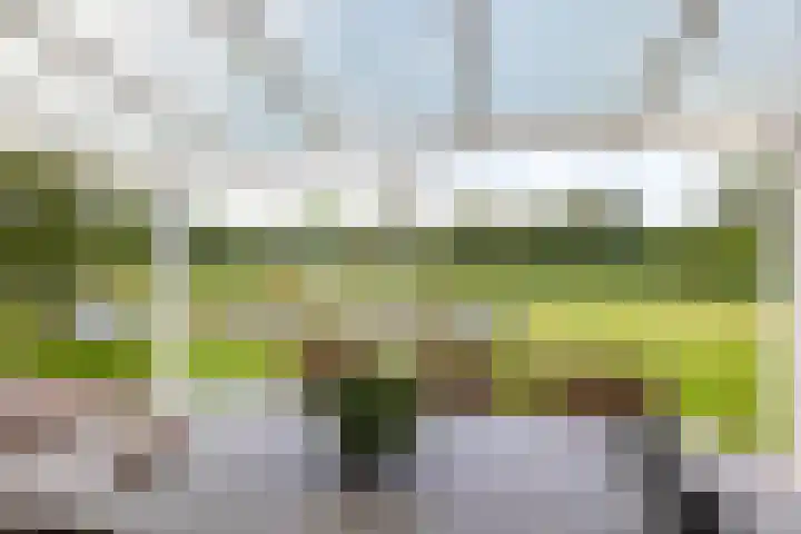 Groenelaan 6 Oostwold thumbnail 18