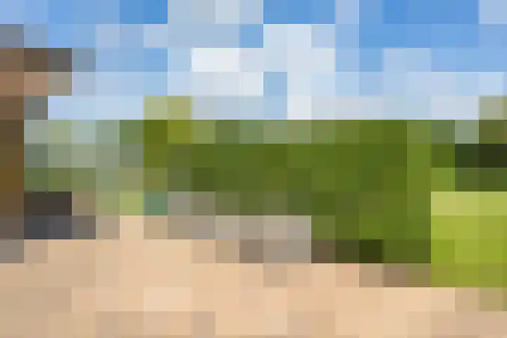 Groenelaan 6 Oostwold thumbnail 19