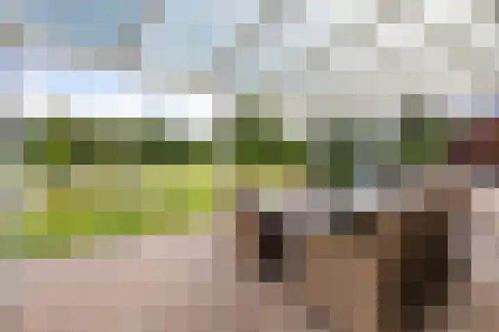 Groenelaan 6 Oostwold thumbnail 25