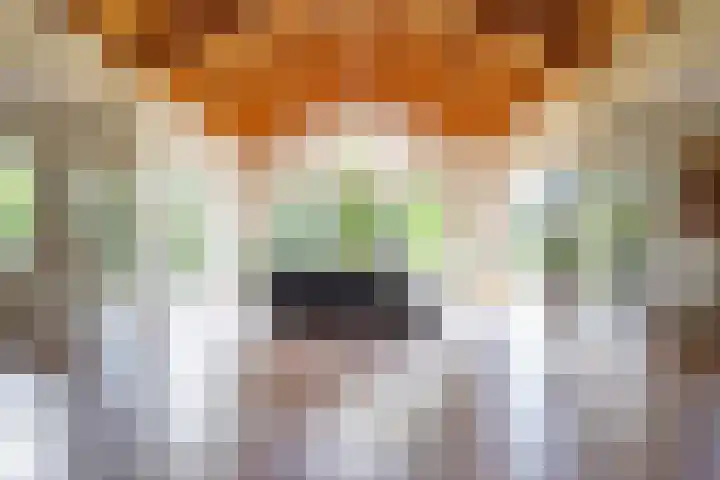 Groenelaan 6 Oostwold thumbnail 29