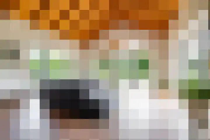 Groenelaan 6 Oostwold thumbnail 31