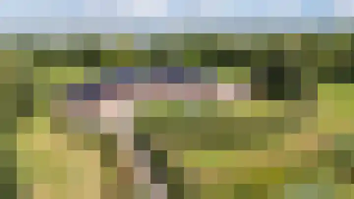 Groenelaan 6 Oostwold thumbnail 4