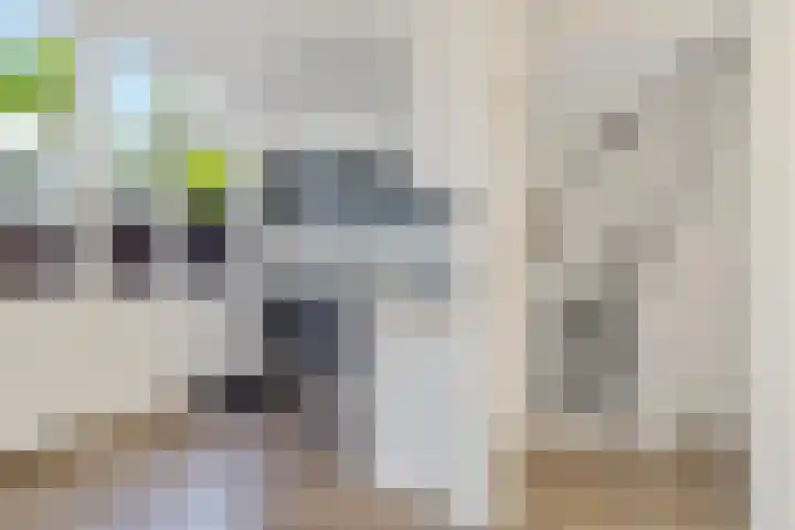 Groenelaan 7 Blokker thumbnail 14