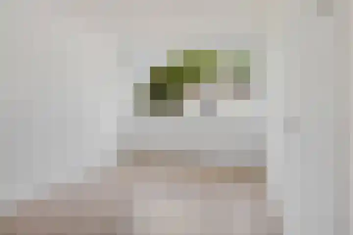 Groenelaan 7 Blokker thumbnail 20