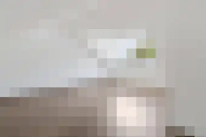 Groenelaan 7 Blokker thumbnail 26