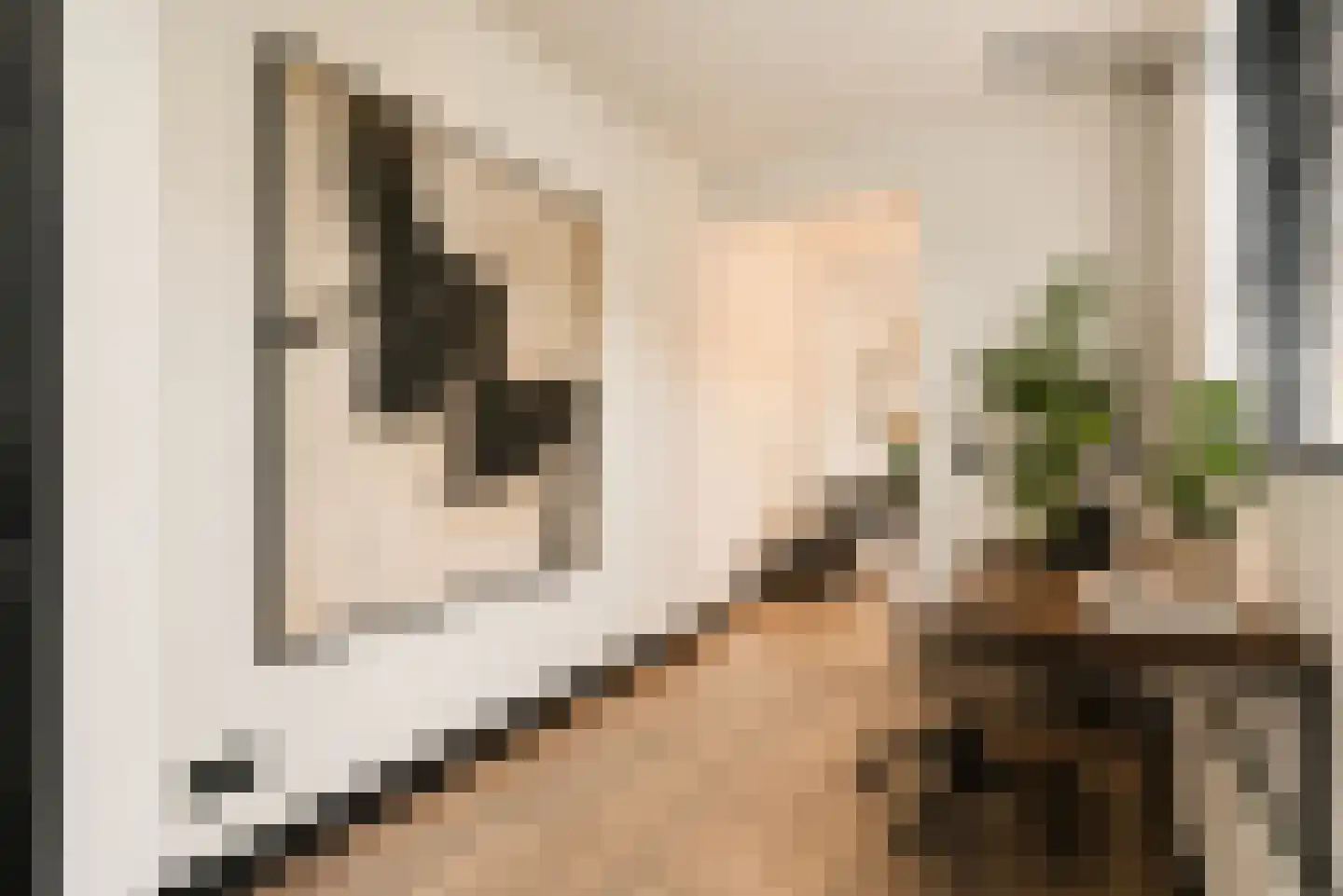 Groenelaan 8 Beverwijk thumbnail 31
