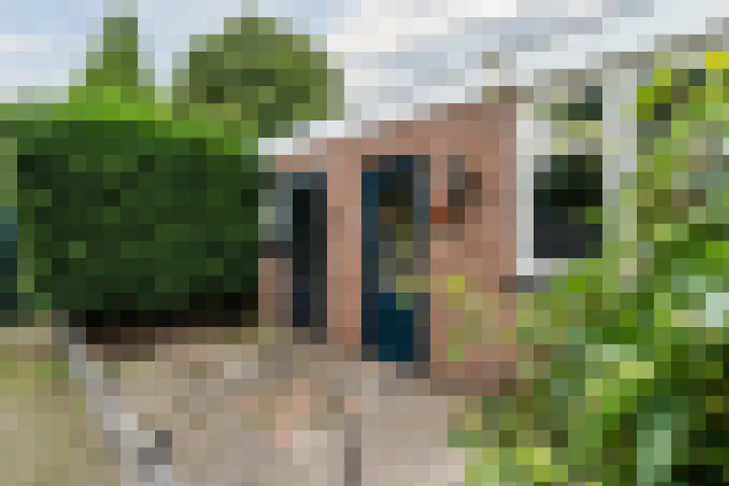 Groenelaan 8 Beverwijk thumbnail 37