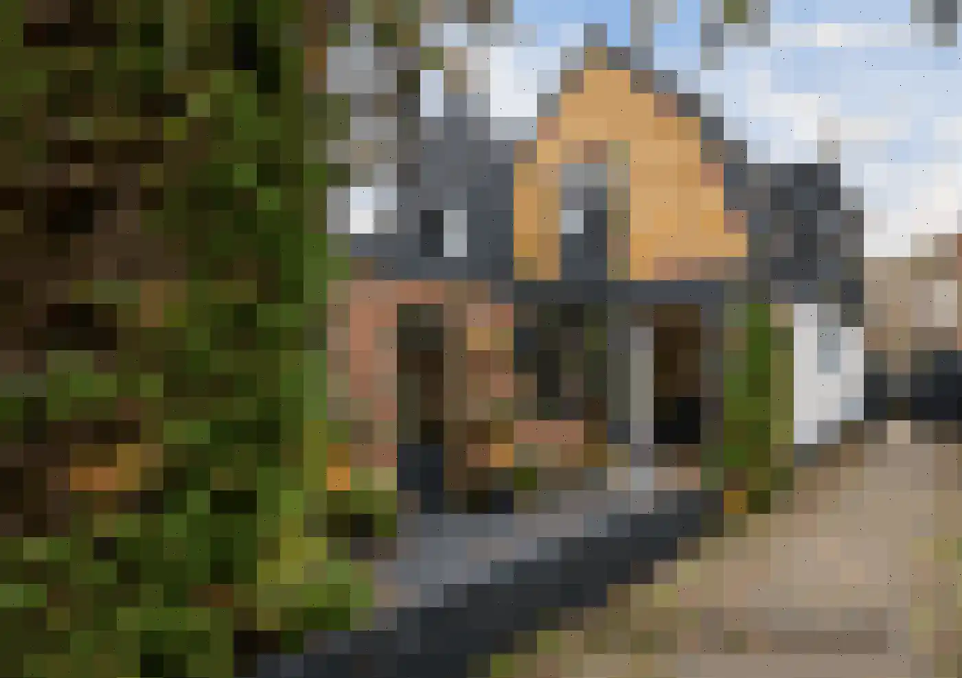 Groenelaan 8 Beverwijk thumbnail 39