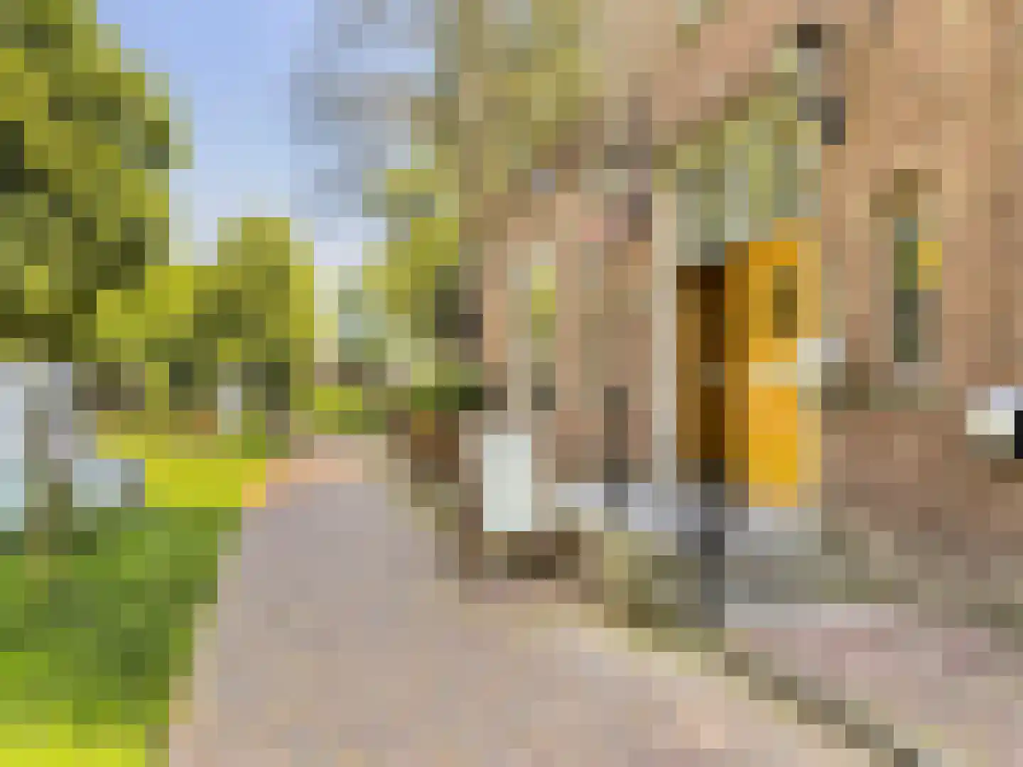 Groenelaan 8 Beverwijk thumbnail 55