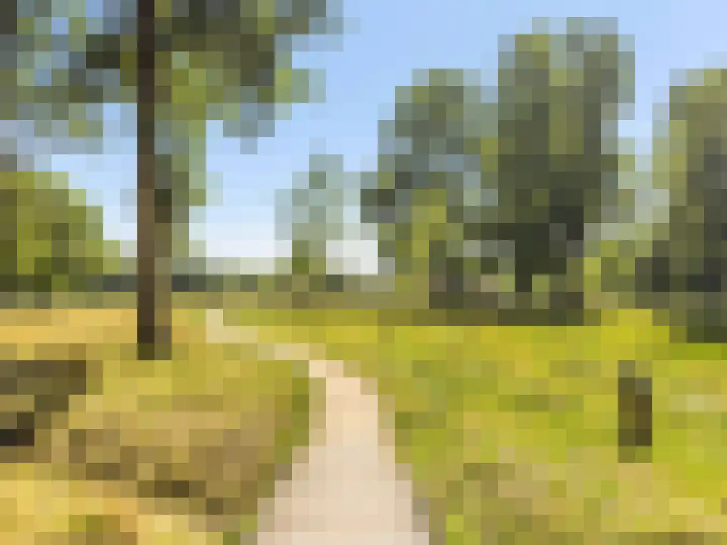 Groenelaan 8 Beverwijk thumbnail 58