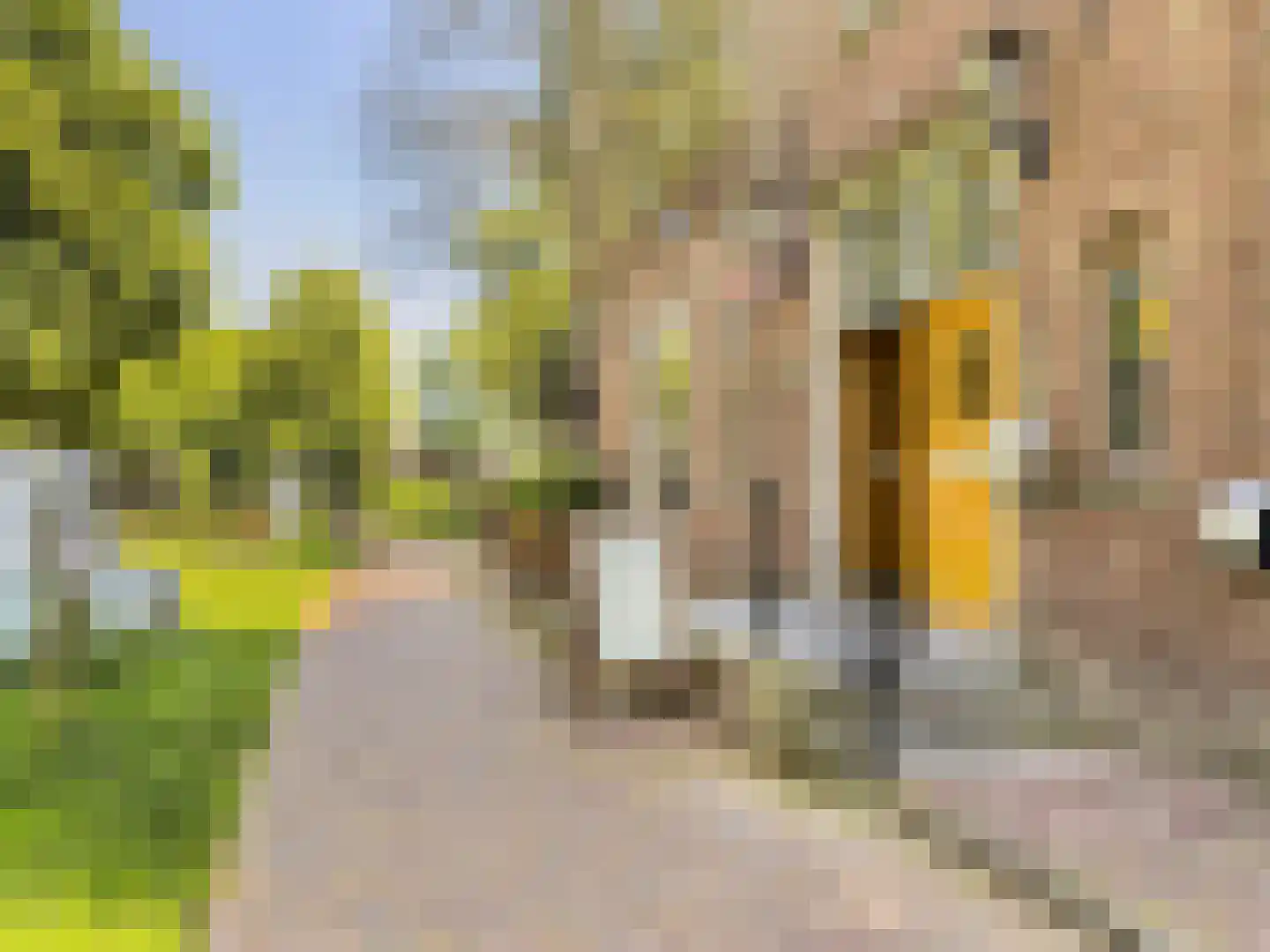 Groenelaan 8 Beverwijk thumbnail 59