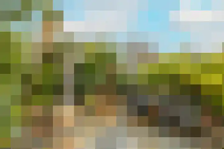 Groenelaan 96 Honselersdijk thumbnail 35