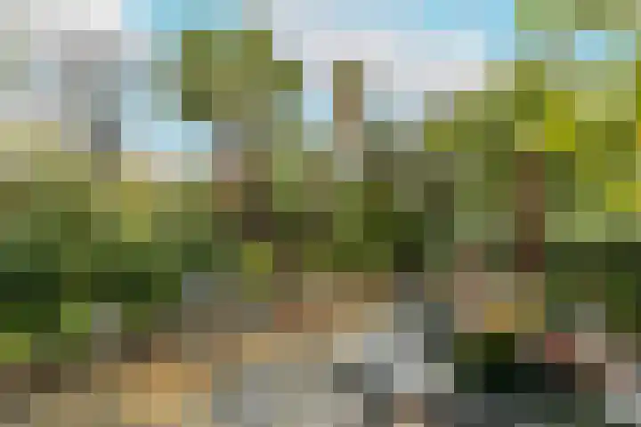 Groenelaan 96 Honselersdijk thumbnail 36