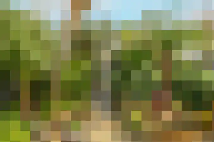 Groenelaan 96 Honselersdijk thumbnail 37