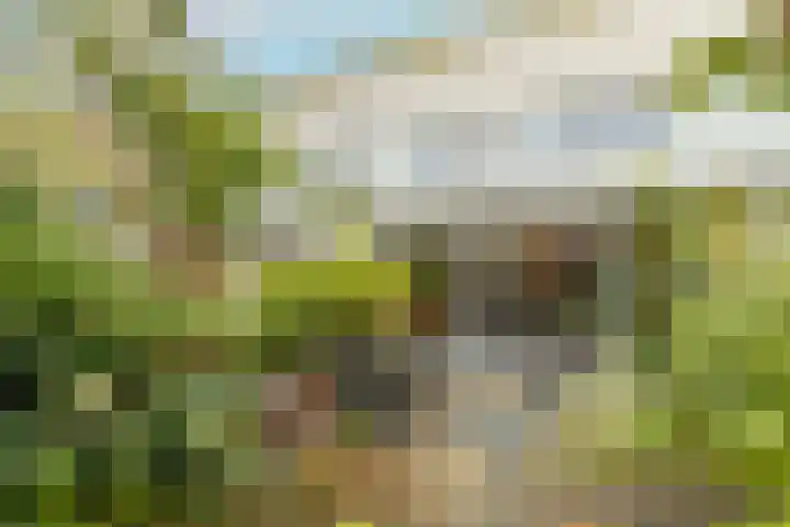 Groenelaan 96 Honselersdijk thumbnail 38