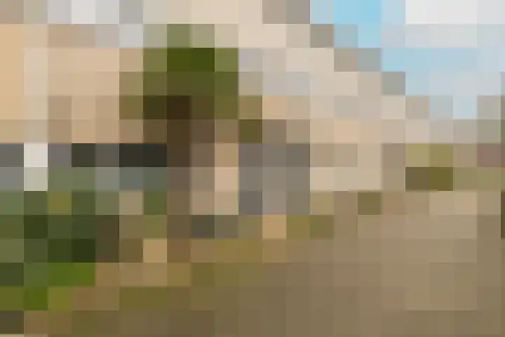 Groenelaan 96 Honselersdijk thumbnail 39