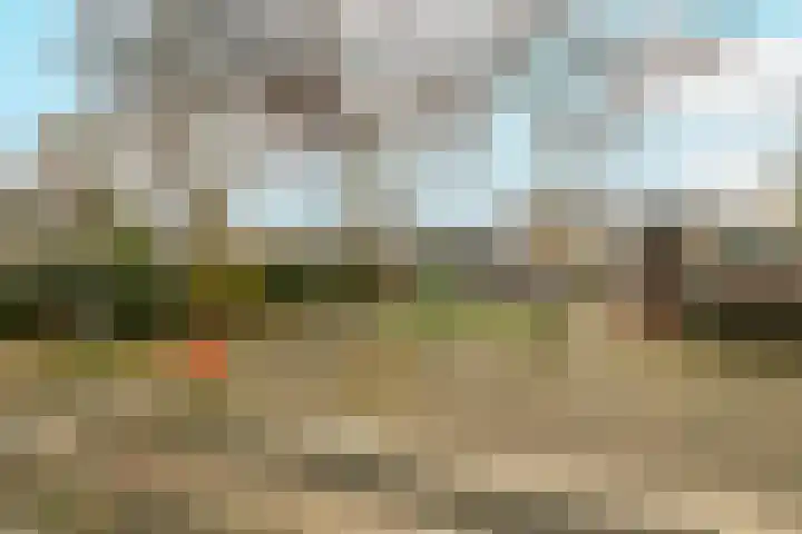 Groenelaan 96 Honselersdijk thumbnail 44