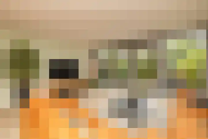 Groenelaan 96 Honselersdijk thumbnail 7