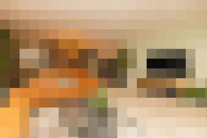 Groenelaan 96 Honselersdijk thumbnail 8