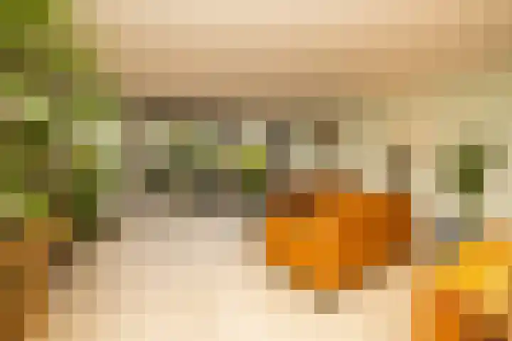 Groenelaan 96 Honselersdijk thumbnail 9
