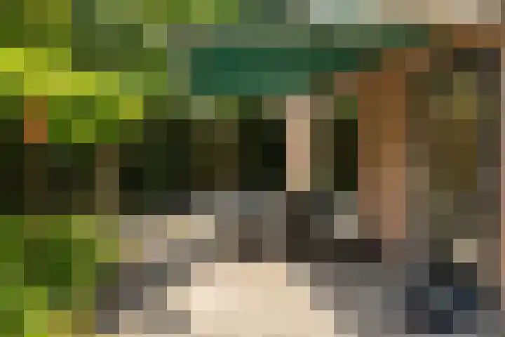 Groenelaantje 2 a Nunspeet thumbnail 10
