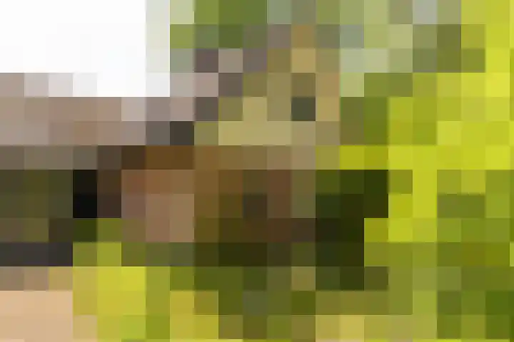 Groenelaantje 2 a Nunspeet thumbnail 11