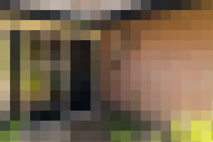 Groenelaantje 2 a Nunspeet thumbnail 12