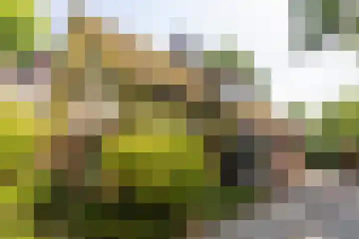 Groenelaantje 2 a Nunspeet foto 2