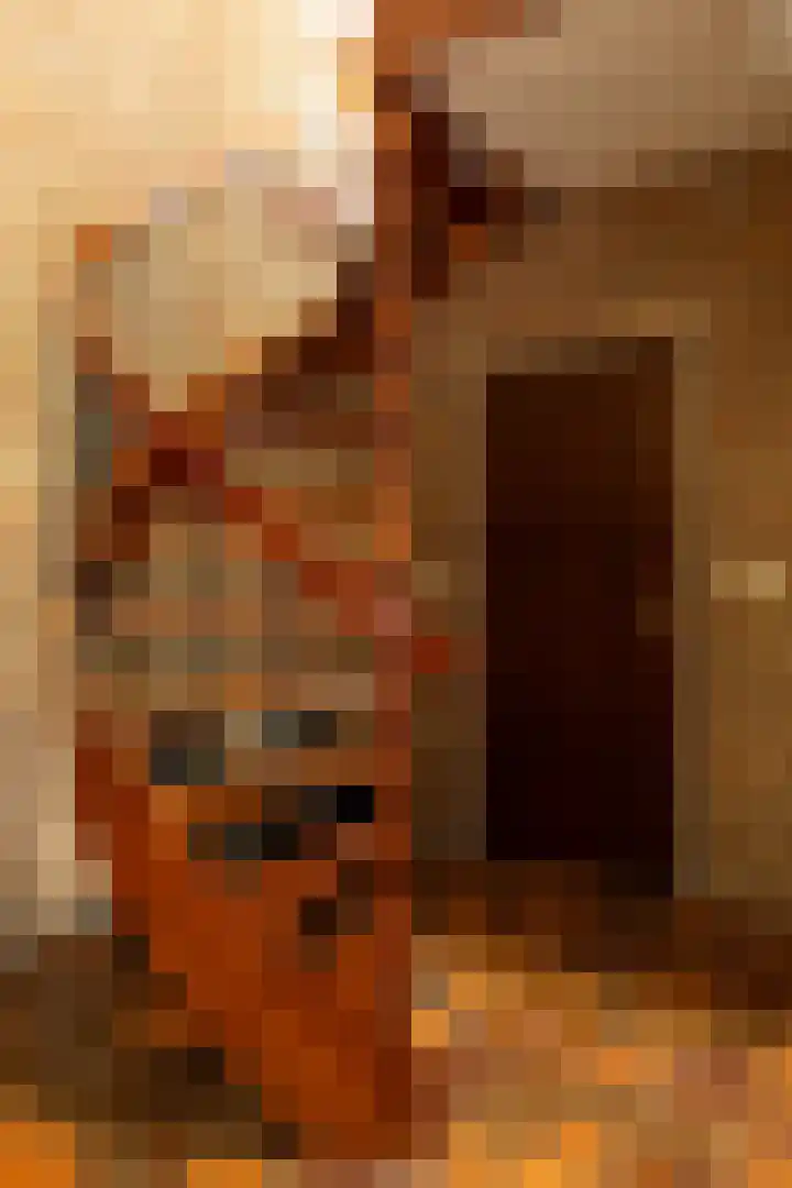Groenelaantje 2 a Nunspeet thumbnail 26