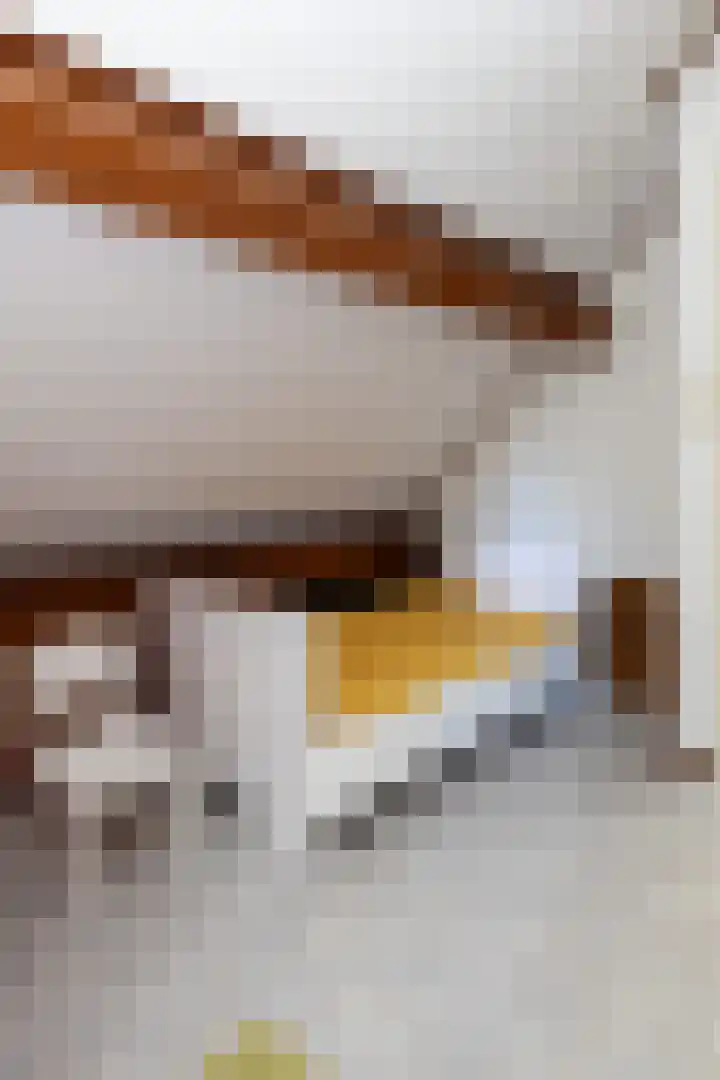 Groenelaantje 2 a Nunspeet thumbnail 31