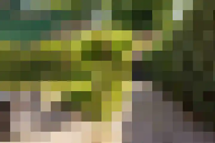 Groenelaantje 2 a Nunspeet thumbnail 36
