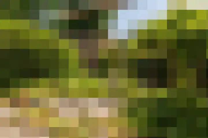 Groenelaantje 2 a Nunspeet thumbnail 37