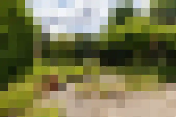 Groenelaantje 2 a Nunspeet thumbnail 38