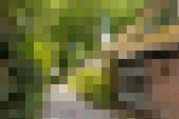 Groenelaantje 2 a Nunspeet thumbnail 39