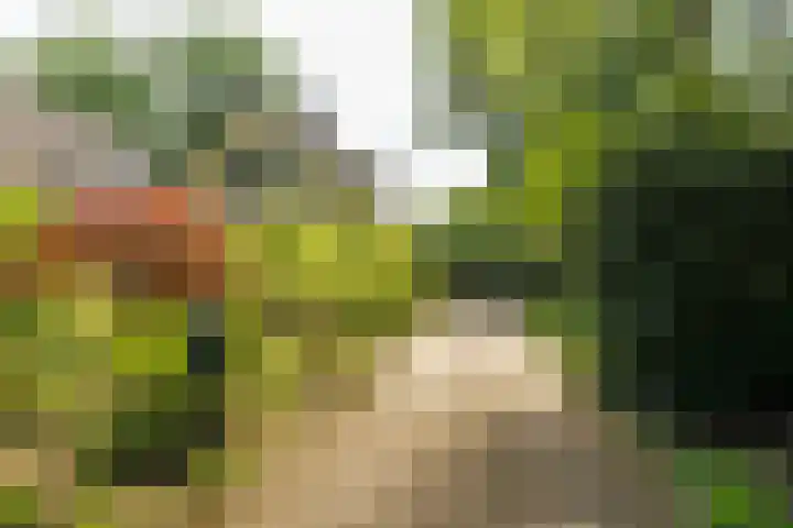 Groenelaantje 2 a Nunspeet thumbnail 4