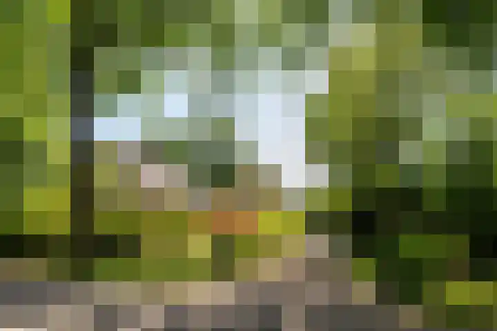 Groenelaantje 2 a Nunspeet thumbnail 40