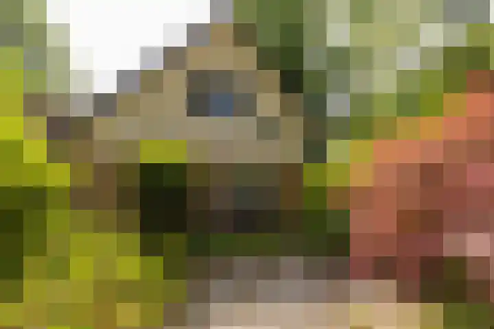 Groenelaantje 2 a Nunspeet thumbnail 5