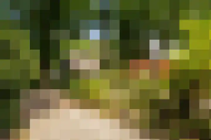 Groenelaantje 2 a Nunspeet thumbnail 6