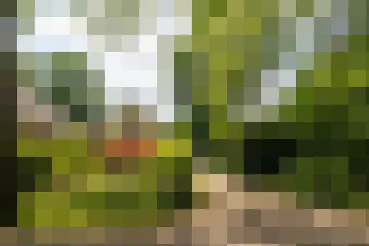 Groenelaantje 2 a Nunspeet thumbnail 7